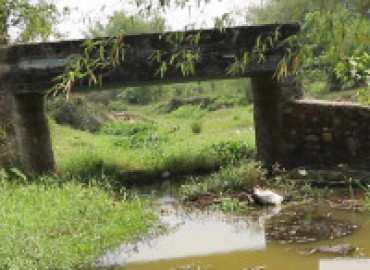 category photo
