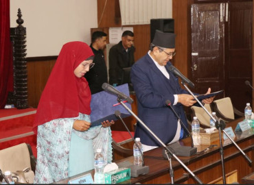 category photo