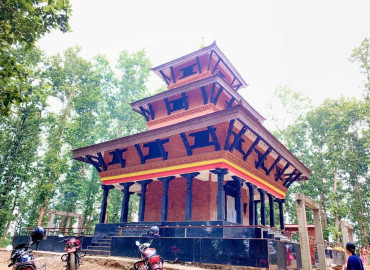 category photo