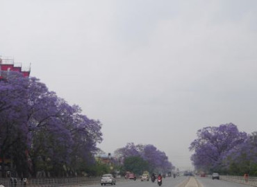 category photo