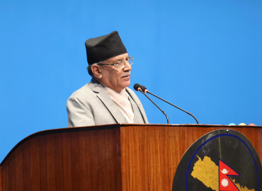 category photo