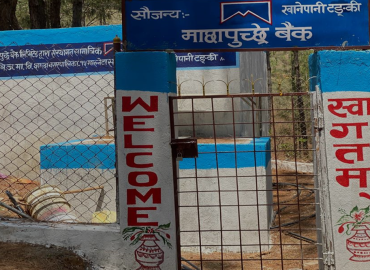 category photo