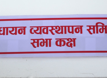 category photo