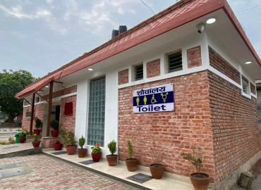 category photo