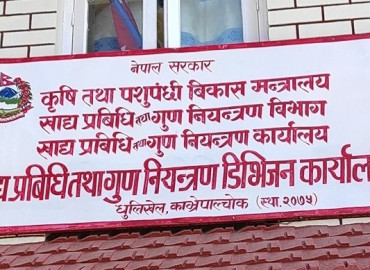 category photo