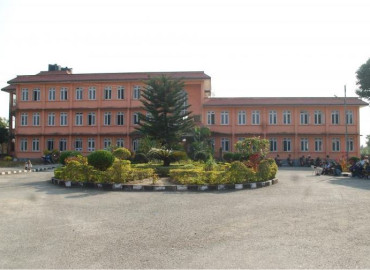 category photo