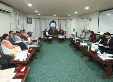 category photo