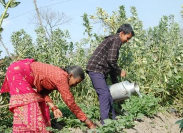 category photo