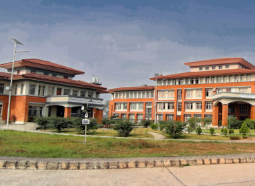 category photo