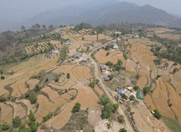 category photo