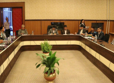 category photo