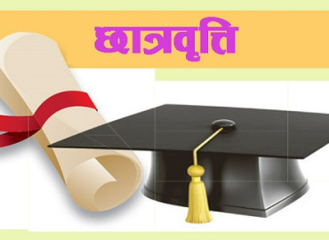 category photo
