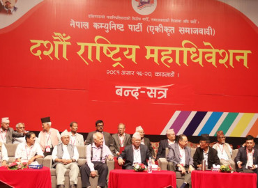 category photo