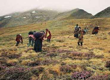 category photo