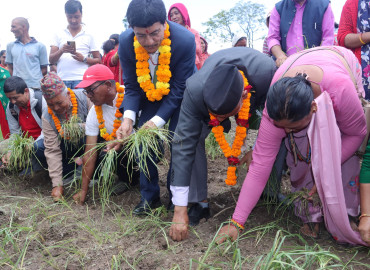 category photo