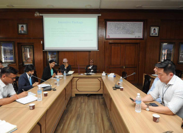 category photo