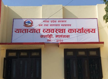 category photo