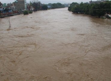 category photo