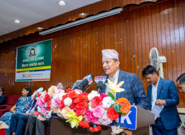 category photo
