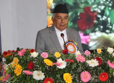 category photo