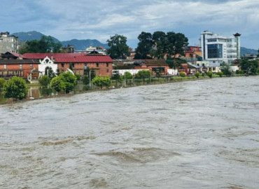 category photo