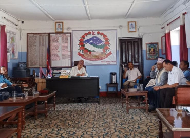 category photo