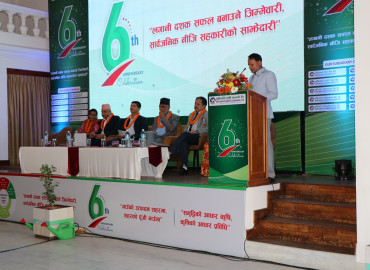 category photo