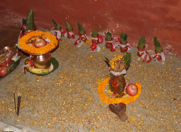 category photo