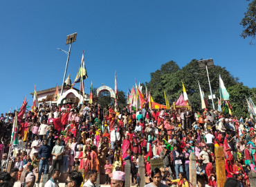 category photo