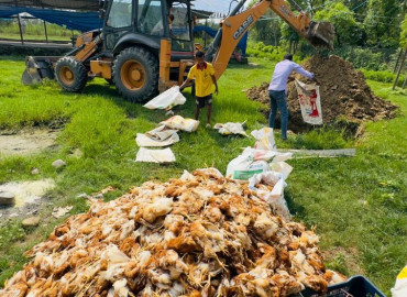 category photo
