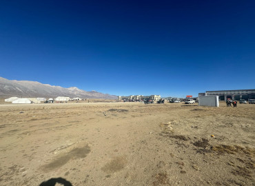 category photo