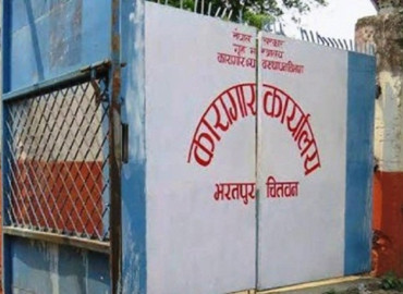 category photo