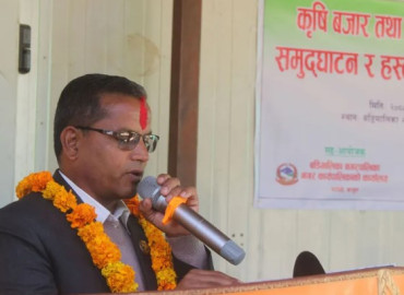 category photo