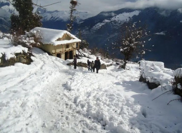 category photo