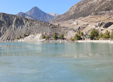 category photo