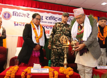 category photo