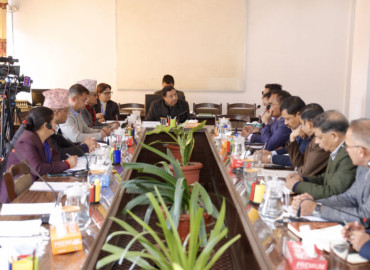 category photo