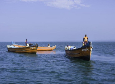 category photo