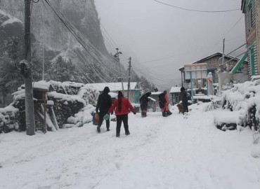 category photo