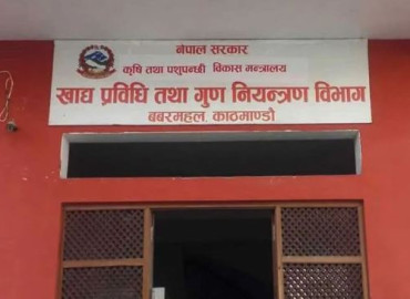 category photo