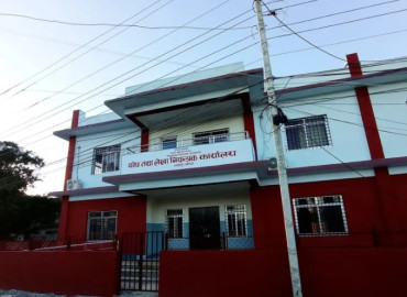 category photo