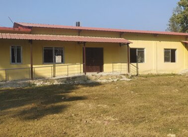 category photo