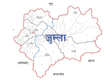 category photo