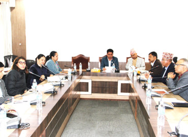 category photo