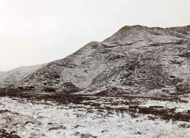 category photo