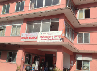 category photo