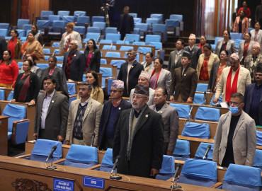 category photo