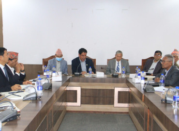 category photo