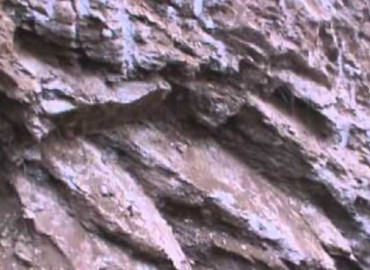 category photo