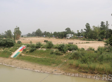 category photo